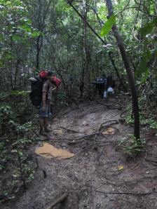 treking hutan tropis 1